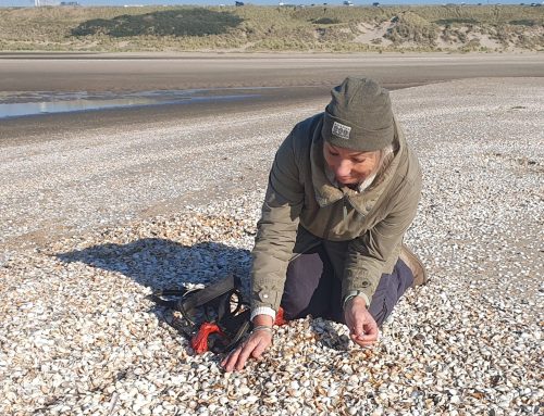 Jutten is ook heel goed zoeken..